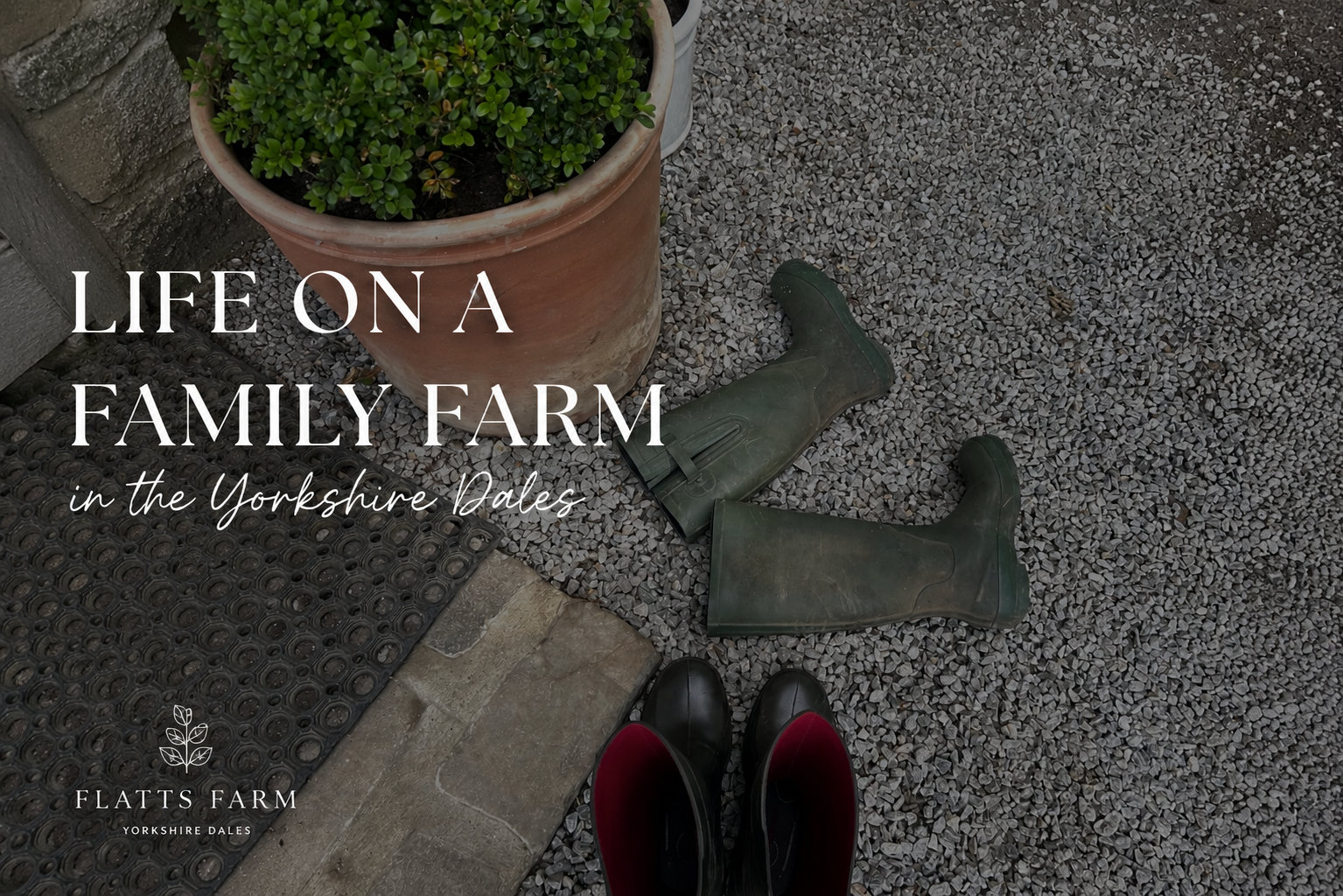 Life on a Family Farm in the Yorkshire Dales