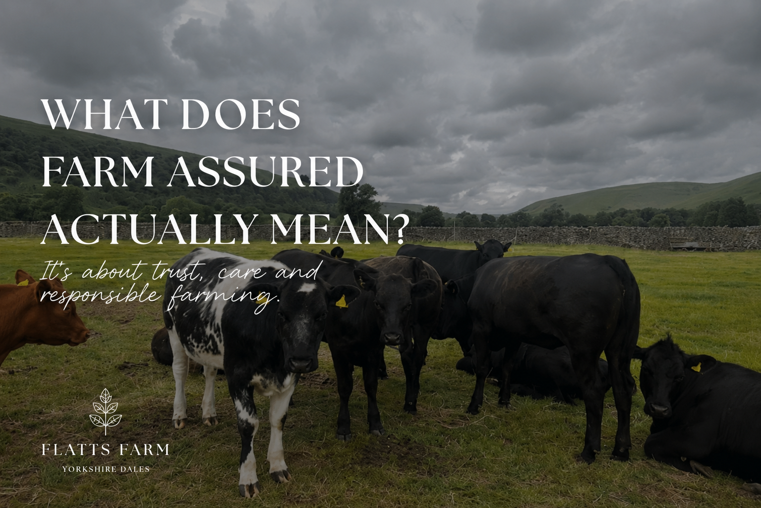 What Does 'Farm Assured' Actually Mean?